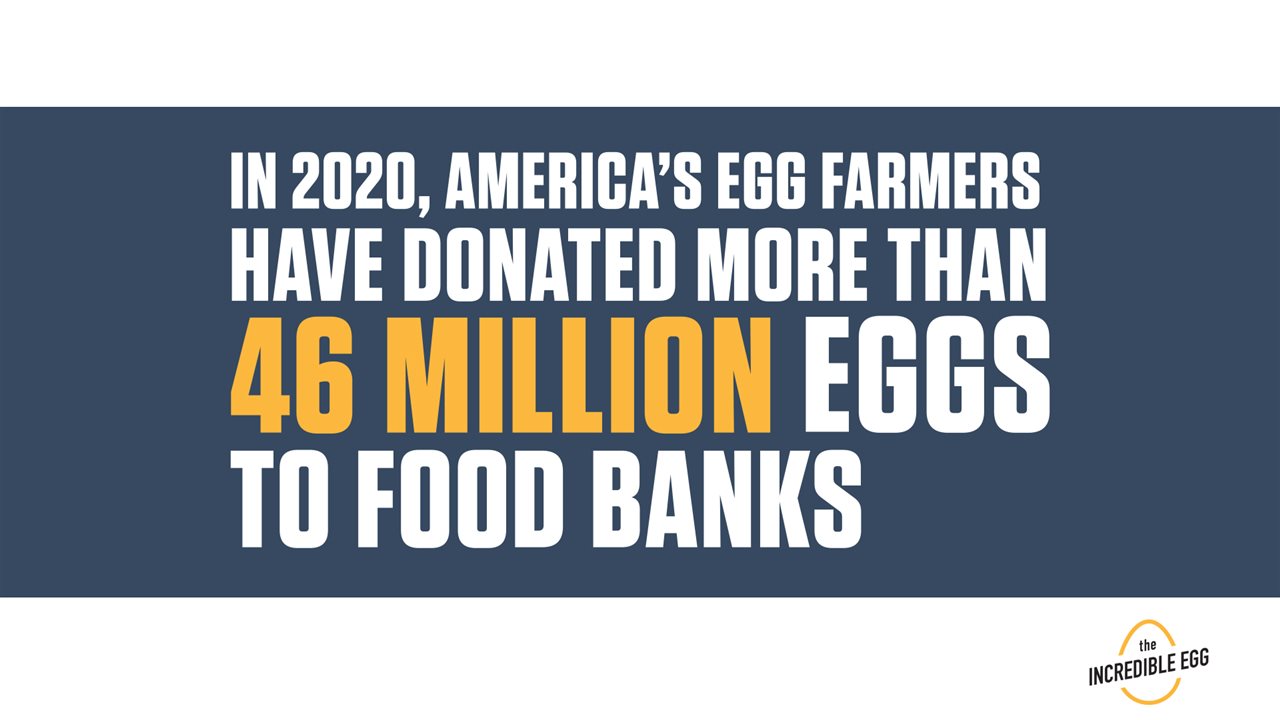 City Life Org America’s egg farmers donate recordbreaking 46 million